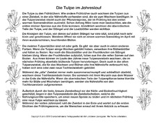 Abschreibtext-Tulpe-SW.pdf